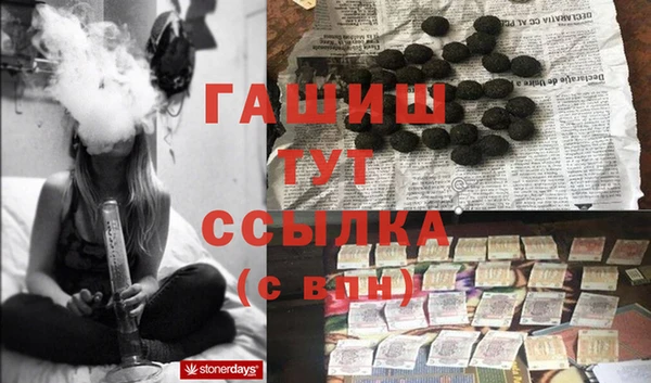 гашик Алексеевка